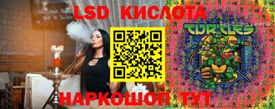 шишки Моздок
