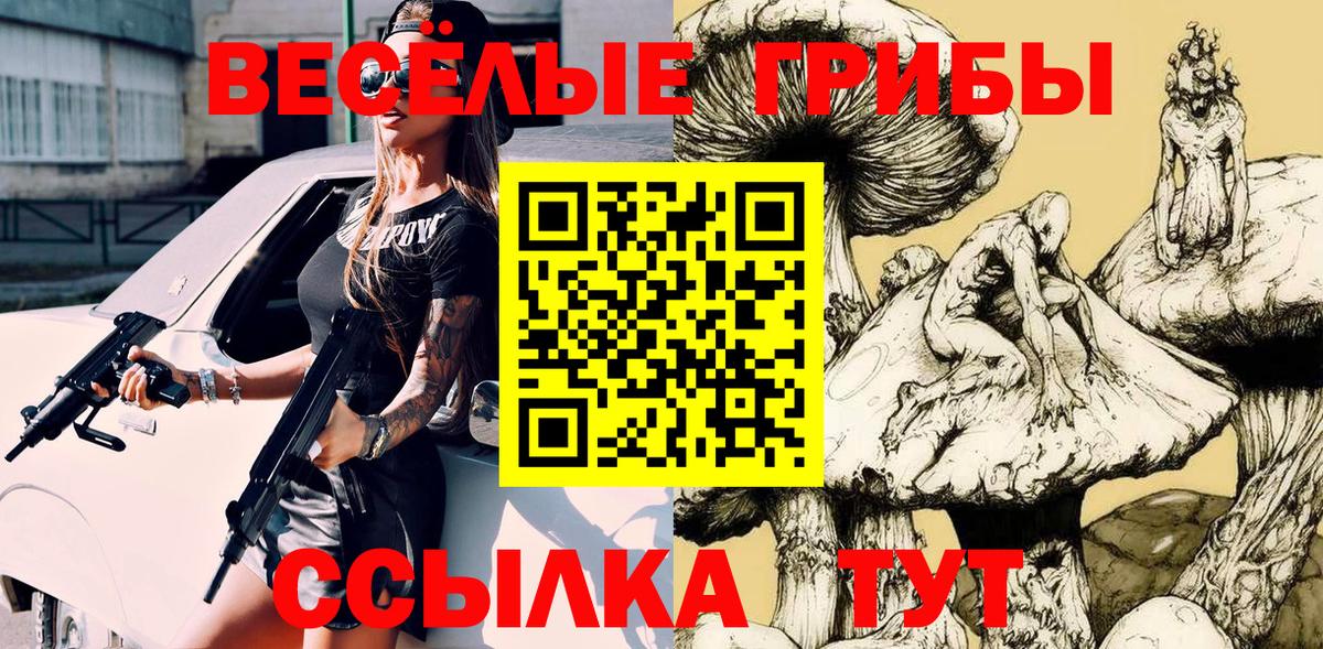 как найти закладки  Вход с VPN  Ессентуки  Псилоцибиновые грибы GOLDEN TEACHER 